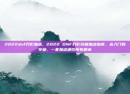 2022dnf刃影加点,2022 DNF刃影终极加点指南,从入门到毕业,一套加点通吃所有副本