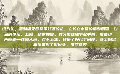 识别花,直到遇见那株不知名的花。它长在小区的偏僻角落,白色的小花,五瓣,精致如雪。我习惯性地举起手机,屏幕却一片模糊—花瓣太薄,对不上焦。我换了好几个角度,甚至掏出眼镜布擦了擦镜头,依然徒劳