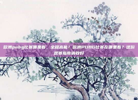欧洲pubg比赛哪里看,全程高能!欧洲PUBG比赛在哪里看?这份观赛指南请收好