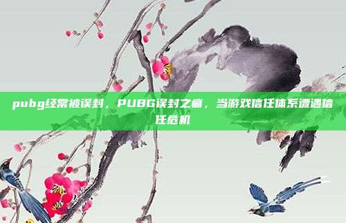 pubg经常被误封,PUBG误封之痛,当游戏信任体系遭遇信任危机