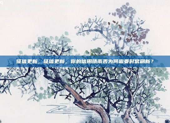 征信更新,征信更新,你的信用晴雨表为何需要时常刷新?