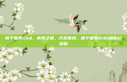 两个世界2hd,两界之间,方见真我,两个世界2HD的奇幻旅程