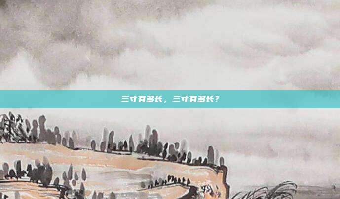 三寸有多长,三寸有多长?