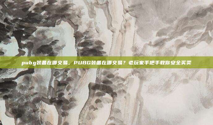pubg装备在哪交易,PUBG装备在哪交易?老玩家手把手教你安全买卖