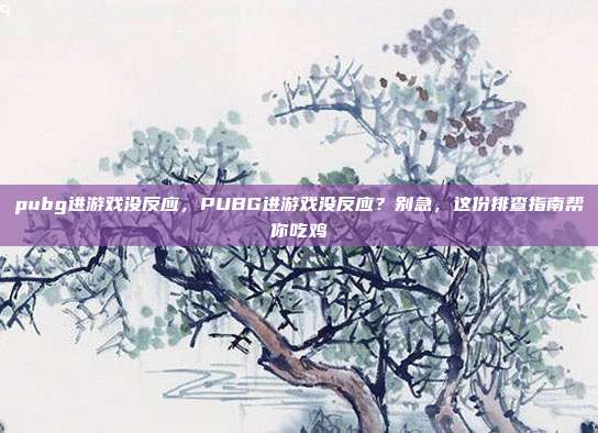 pubg进游戏没反应,PUBG进游戏没反应?别急,这份排查指南帮你吃鸡