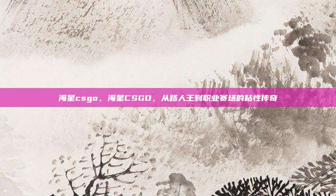 海星csgo,海星CSGO,从路人王到职业赛场的粘性传奇