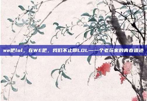 we吧lol,在WE吧,我们不止聊LOL—一个老玩家的青春遗迹