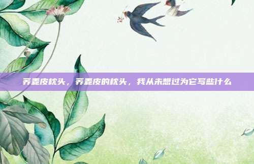 荞麦皮枕头,荞麦皮的枕头,我从未想过为它写些什么