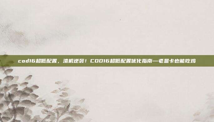 cod16超低配置,渣机逆袭!COD16超低配置优化指南—老显卡也能吃鸡