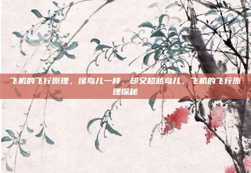 飞机的飞行原理,像鸟儿一样,却又超越鸟儿,飞机的飞行原理探秘