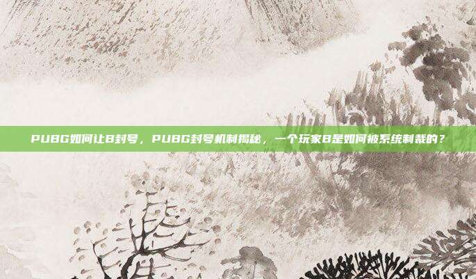 PUBG如何让B封号,PUBG封号机制揭秘,一个玩家B是如何被系统制裁的?