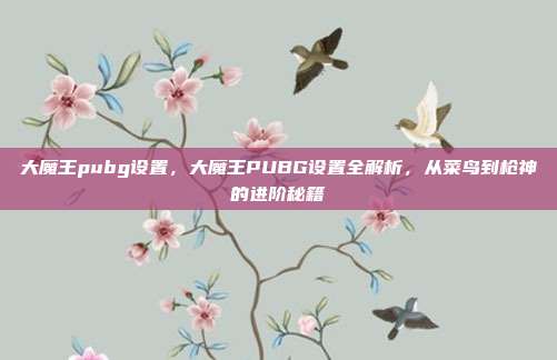 大魔王pubg设置,大魔王PUBG设置全解析,从菜鸟到枪神的进阶秘籍