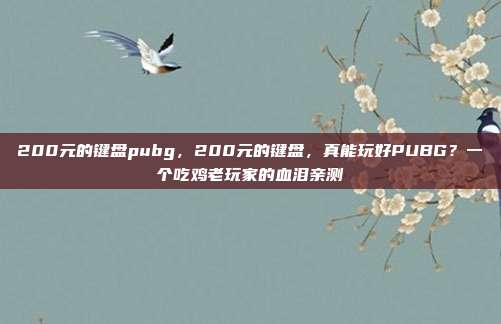 200元的键盘pubg,200元的键盘,真能玩好PUBG?一个吃鸡老玩家的血泪亲测