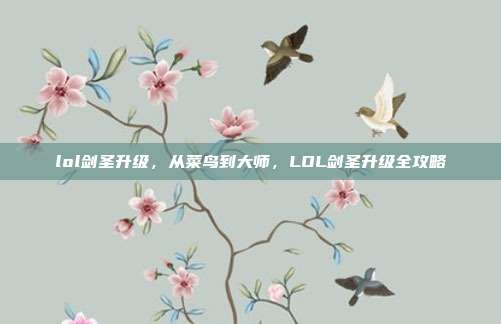 lol剑圣升级,从菜鸟到大师,LOL剑圣升级全攻略