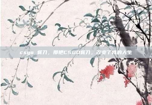 csgo 餐刀,那把CSGO餐刀,改变了我的人生