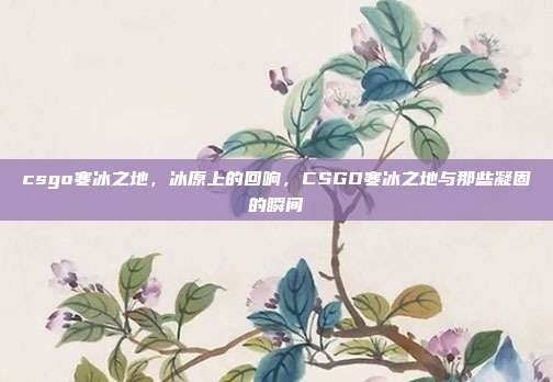 csgo寒冰之地,冰原上的回响,CSGO寒冰之地与那些凝固的瞬间