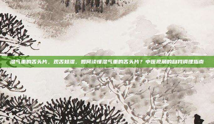 湿气重的舌头片,观舌知湿,如何读懂湿气重的舌头片?中医视角的自我调理指南