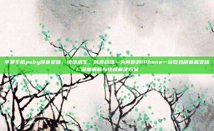 苹果手机pubg屏幕变暗,绝地求生,刺激战场—为何你的iPhone一玩吃鸡屏幕就变暗?深度解析与终极解决方案