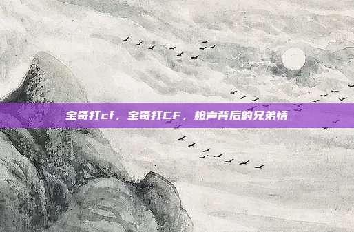 宝哥打cf,宝哥打CF,枪声背后的兄弟情