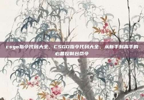 csgo指令代码大全,CSGO指令代码大全,从新手到高手的必备控制台命令