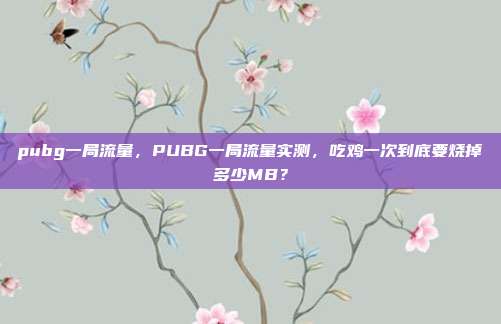 pubg一局流量,PUBG一局流量实测,吃鸡一次到底要烧掉多少MB?