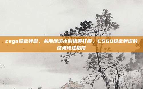 csgo稳定弹道,从随缘泼水到指哪打哪,CSGO稳定弹道的终极修炼指南