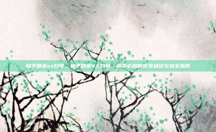 和平精英vx白号,和平精英VX白号,新手必知的账号知识与安全指南