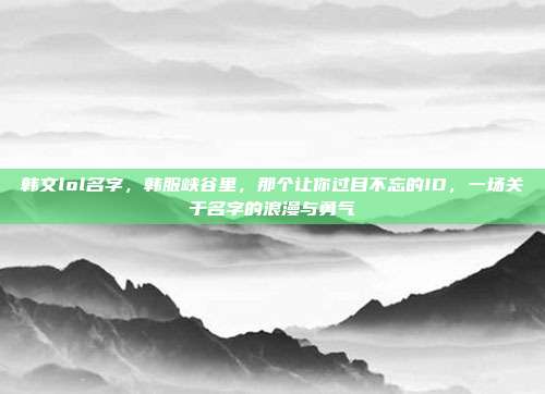 韩文lol名字,韩服峡谷里,那个让你过目不忘的ID,一场关于名字的浪漫与勇气
