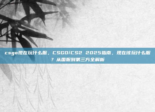 csgo现在玩什么服,CSGO/CS2 2025指南,现在该玩什么服?从国服到第三方全解析