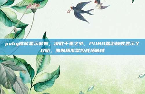 pubg端游显示帧数,决胜千里之外,PUBG端游帧数显示全攻略,助你精准掌控战场脉搏