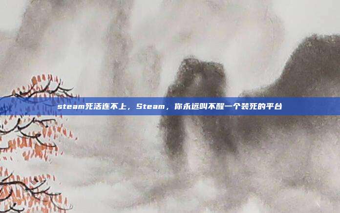steam死活连不上,Steam,你永远叫不醒一个装死的平台