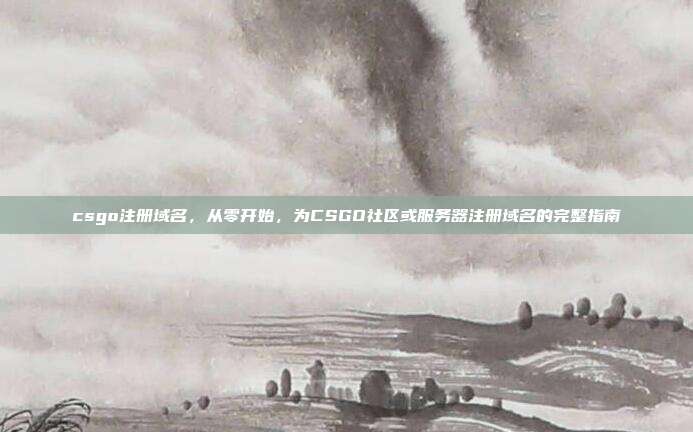 csgo注册域名,从零开始,为CSGO社区或服务器注册域名的完整指南