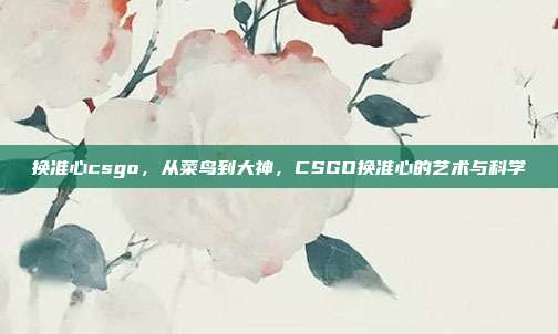 换准心csgo,从菜鸟到大神,CSGO换准心的艺术与科学