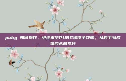 pubg 如何操作,绝地求生PUBG操作全攻略,从新手到成神的必备技巧