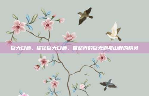 巨大口蘑,探秘巨大口蘑,自然界的巨无霸与山野的精灵