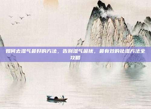 如何去湿气最好的方法,告别湿气困扰,最有效的祛湿方法全攻略