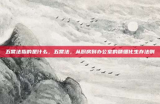 五常法指的是什么,五常法,从厨房到办公室的精细化生存法则