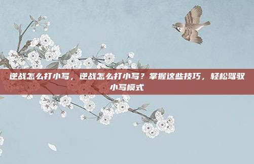 逆战怎么打小写,逆战怎么打小写?掌握这些技巧,轻松驾驭小写模式