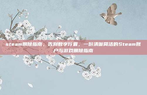 steam删除指南,告别数字行囊,一份清晰简洁的Steam账户与游戏删除指南