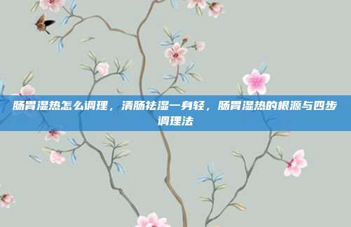 肠胃湿热怎么调理,清肠祛湿一身轻,肠胃湿热的根源与四步调理法