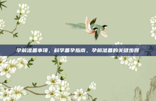 孕前准备事项,科学备孕指南,孕前准备的关键步骤