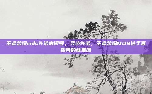 王者荣耀mds许诺房间号,寻迹许诺,王者荣耀MDS选手直播间的藏宝图