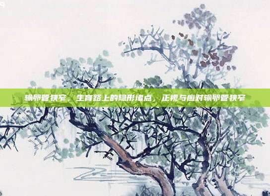输卵管狭窄,生育路上的隐形堵点,正视与应对输卵管狭窄