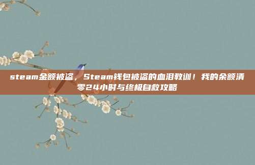 steam金额被盗,Steam钱包被盗的血泪教训!我的余额清零24小时与终极自救攻略