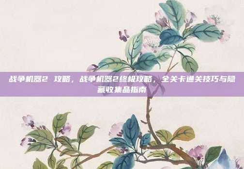 战争机器2 攻略,战争机器2终极攻略,全关卡通关技巧与隐藏收集品指南