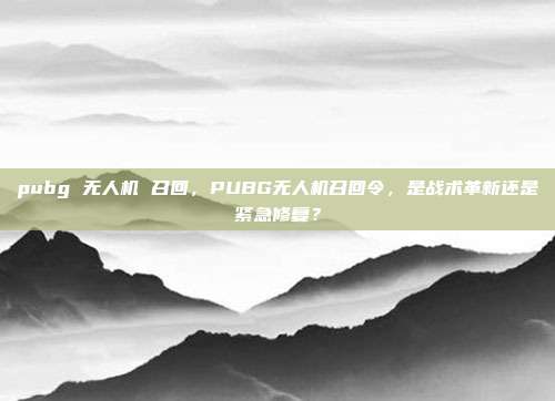 pubg 无人机 召回,PUBG无人机召回令,是战术革新还是紧急修复?