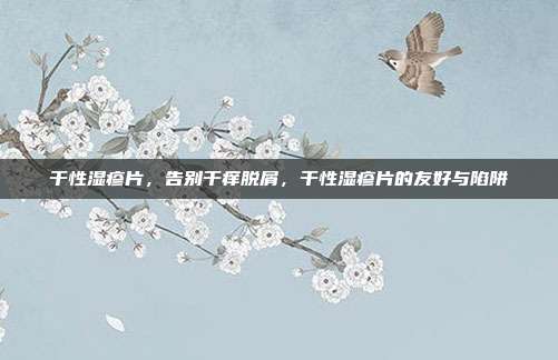 干性湿疹片,告别干痒脱屑,干性湿疹片的友好与陷阱