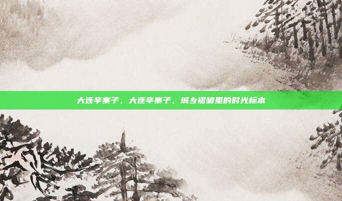 大连辛寨子,大连辛寨子,城乡褶皱里的时光标本