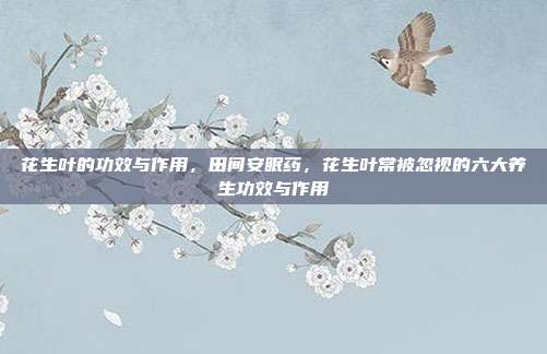 花生叶的功效与作用,田间安眠药,花生叶常被忽视的六大养生功效与作用