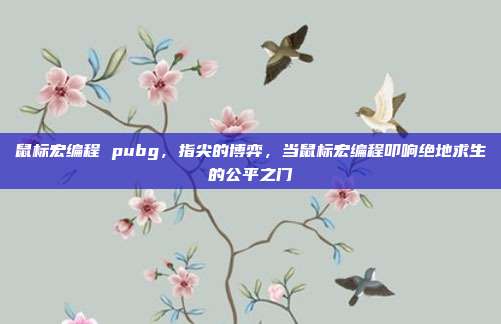 鼠标宏编程 pubg,指尖的博弈,当鼠标宏编程叩响绝地求生的公平之门